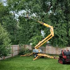 Best Lawn Grading and Leveling  in Lake Success, NY