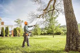 Best Lawn Pest Prevention  in Lake Success, NY